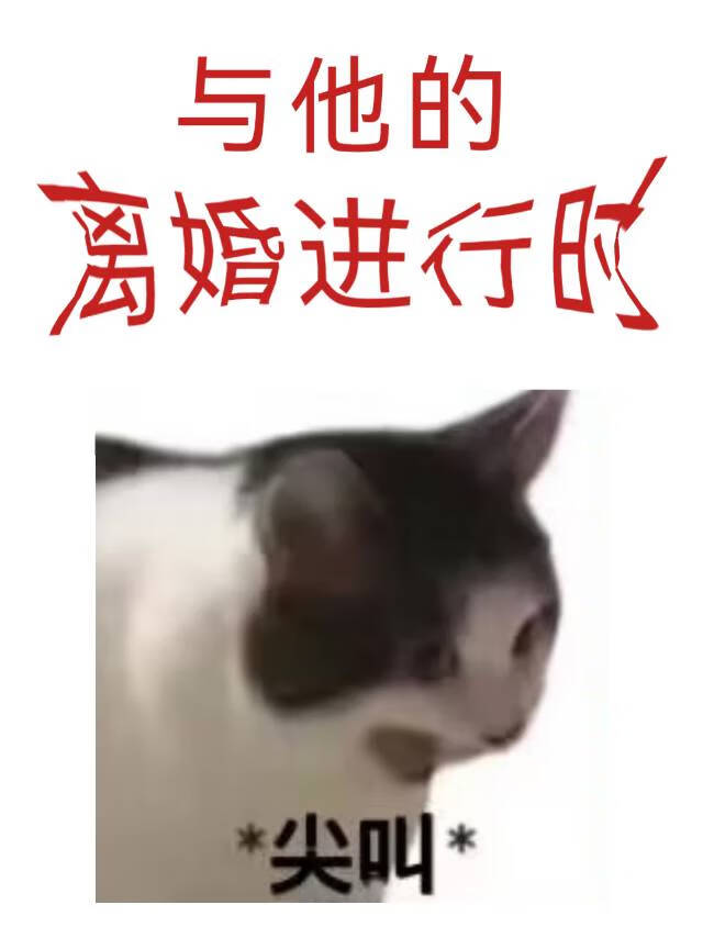 全网轰动