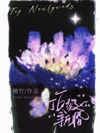 小说顶级宠婚