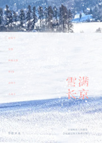 雪满长安城