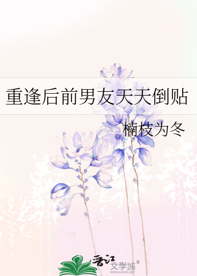 前任重逢的小说
