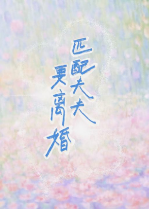 实体匹配离婚事件