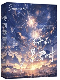 在暴雪时分文案