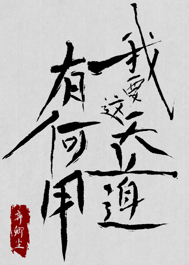 天道非要做我小弟