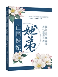 亡国王妃小说