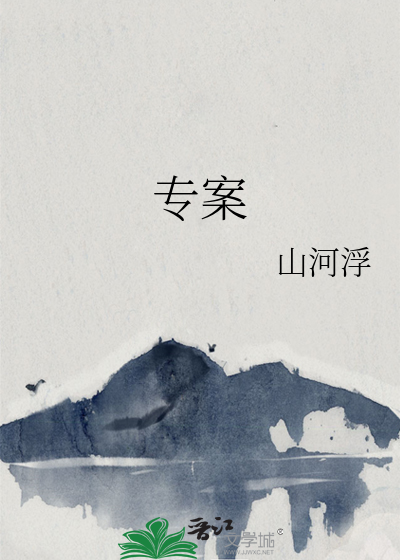 专案组是什么意思