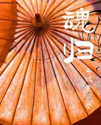 魂归九天悲夜月