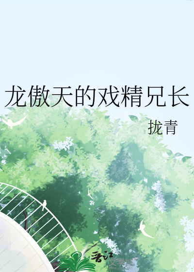 龙傲天剧情的小说