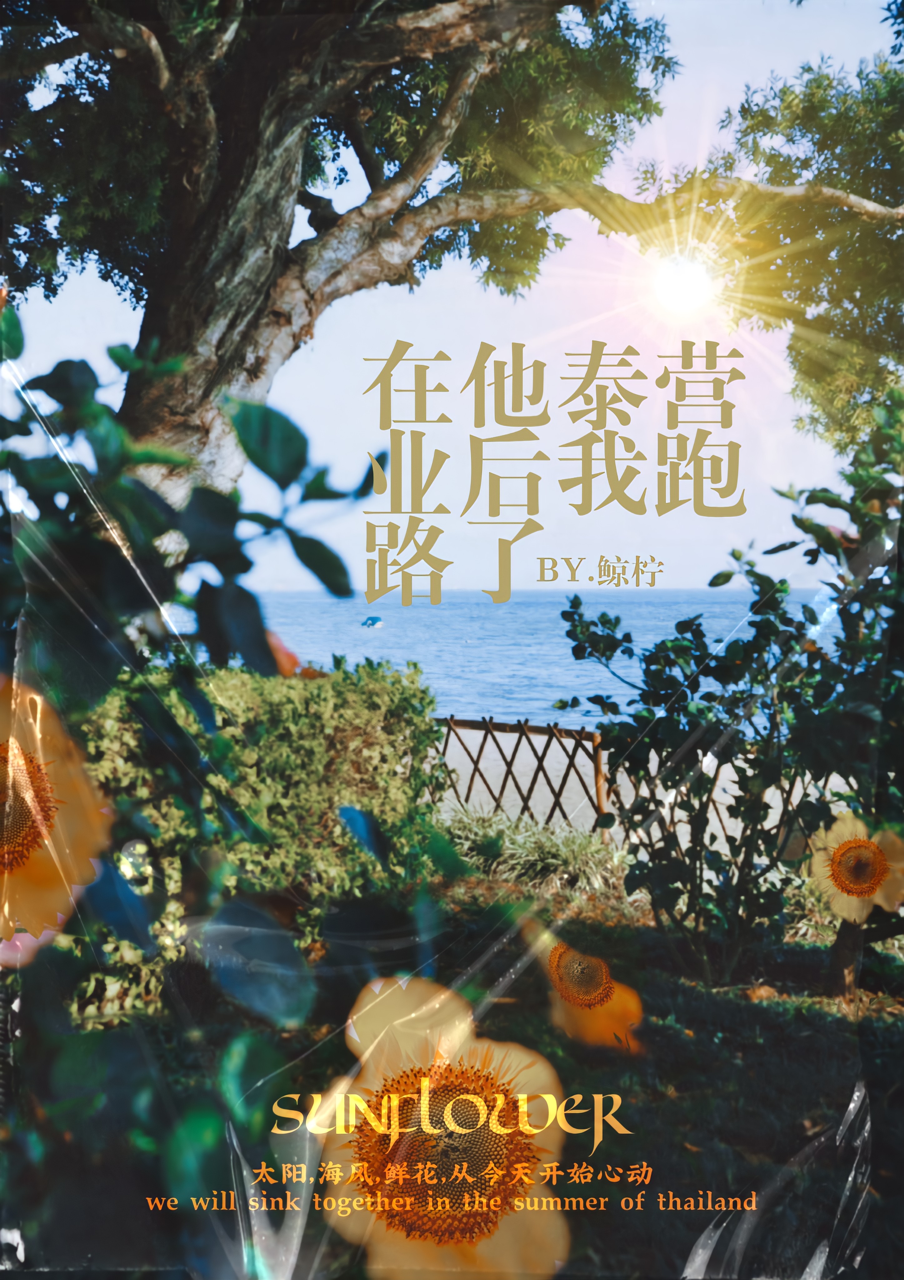 他泰营业期是多久