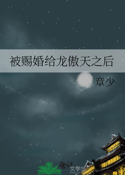 中华神探：多元逻辑